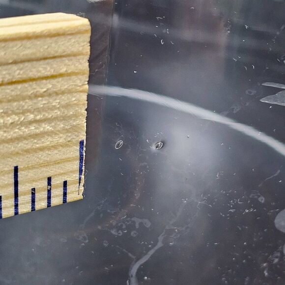 Replacement Clear Glass Dome for Cheese Board Etched Grapes 6" x 6-1/4" - Picture 7 of 7